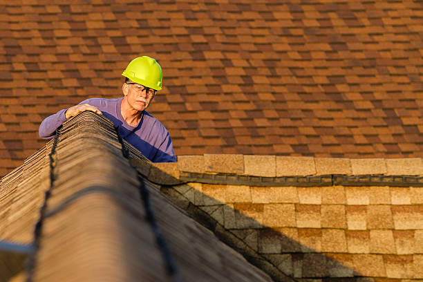Roof Gutter Cleaning in Lincolnshire, IL